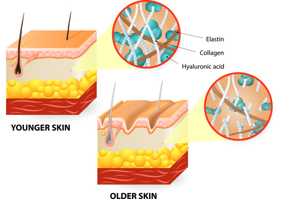 skin-rejuvenation-process
