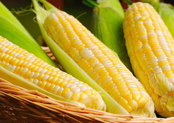 corn