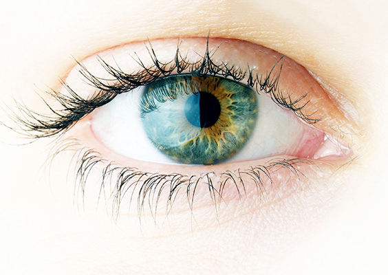 eye-myopia
