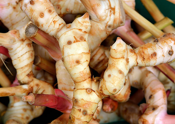 galangal